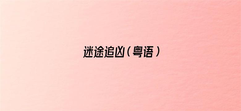 迷途追凶（粤语）